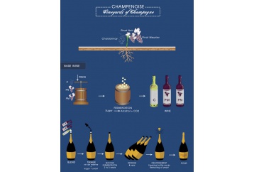 Champagne là gì? Tại sao champagne đắt tiền? Đẳng cấp hay khác biệt?
